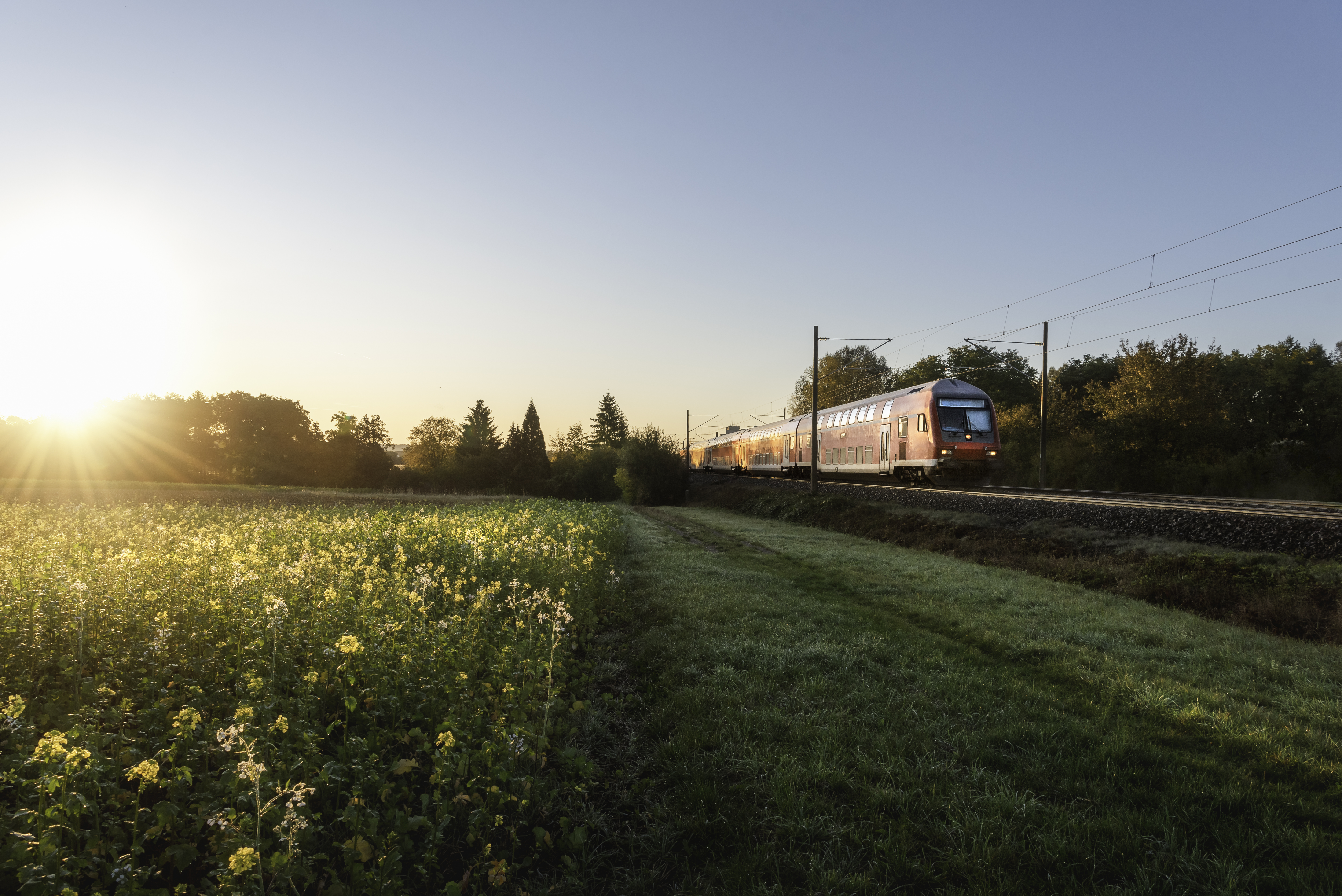 German regional train and rapeseed field at sunrise. Passenger train traveling in spring scenery. Eco-friendly public transport in a rural landscape.